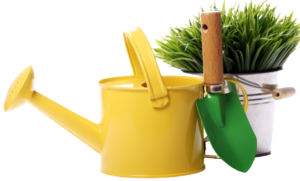 Garden Tools Image
