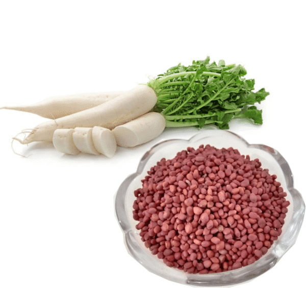 Raddish Seeds  (Muli)