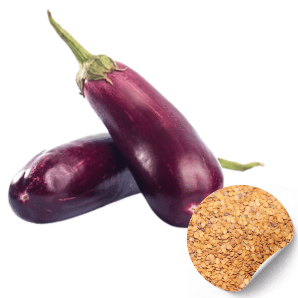 Brinjal Seeds  (Baingan)
